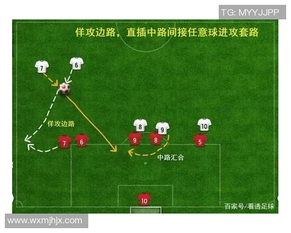 南京排球队盯防战术解析与比赛表现的深度剖析