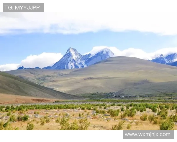 黄秀英的极限运动人生探索与深度对话之旅