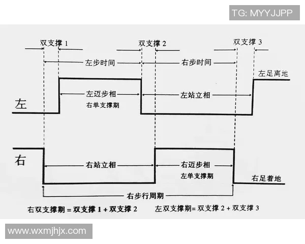运动康复创新路径探索与实践:提升运动员恢复速度与效果的策略分析 运动康复创新路径探索与实践:提升运动员恢复速度与效果的策略分析