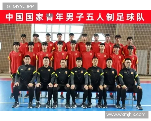中国足球明星的奋斗历程与荣耀时刻揭秘